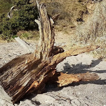 Zeit Fuer Erholung, A&c Prudlo, Usedom Lutow